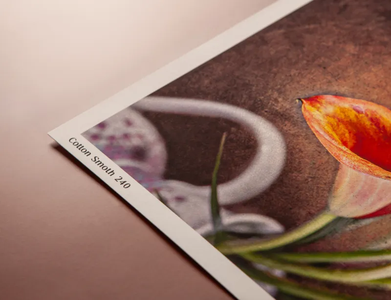 Detail Fine Art papiera Cotton Smooth 240