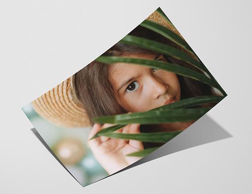 Cotton Smooth 320 - Fomei