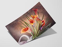 Cotton Smooth 240 - Fomei