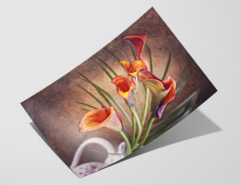 Cotton Smooth 240 - Fomei