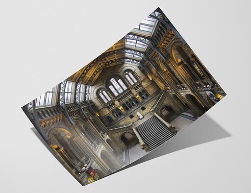 PhotoRag Satin 310 – Hahnemuhle