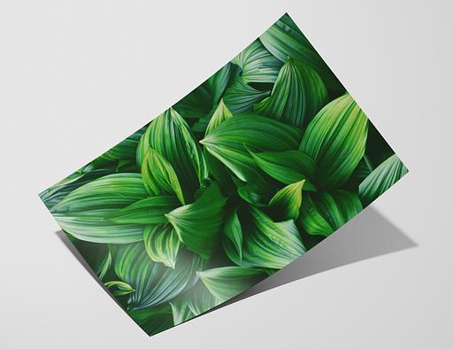 Bamboo Gloss Baryta 305 – Hahnemuhle