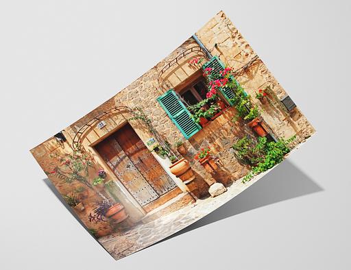 Agave 290 - Hahnemuhle