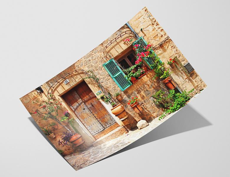 Agave 290 - Hahnemuhle