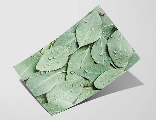 Bamboo 290 – Hahnemuhle