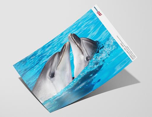 Vzorka - Series Lustre 230