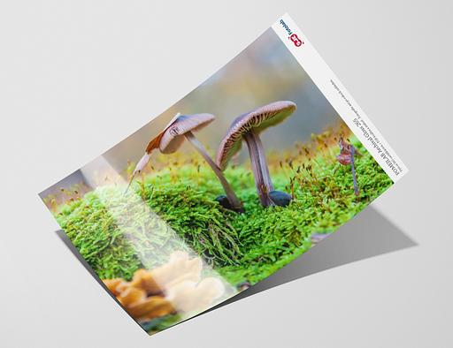 Vzorka - Archival Gloss 265