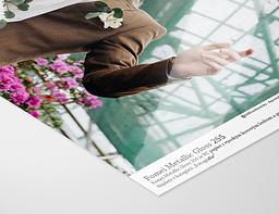 Metallic Gloss 255 - Fomei