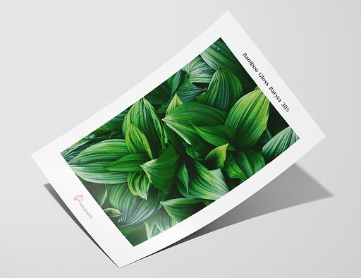 Vzorka - Bamboo Gloss Baryta 305 – Hahnemuhle