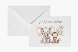 Obálka na fotky - potlač 009