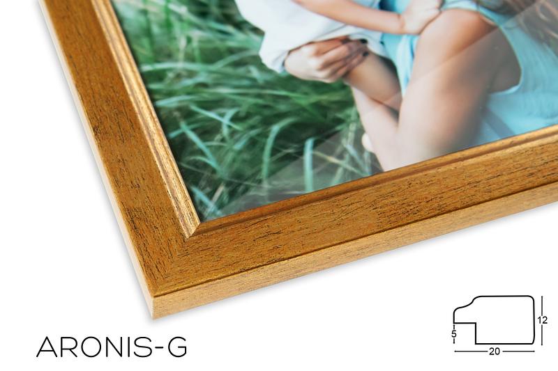 Fotografia v ráme - ARONIS