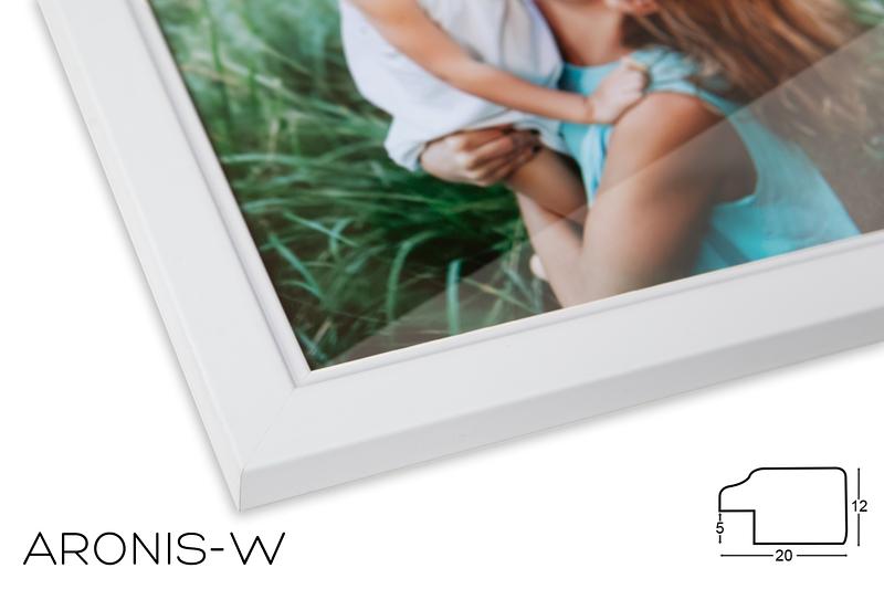 Fotografia v ráme - ARONIS